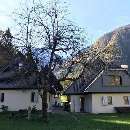Cozy Cottage In The Heart Of The Triglav National Park Soča Extérieur photo