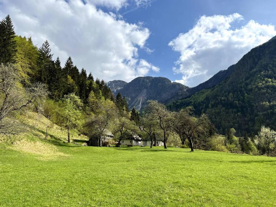 Cozy Cottage In The Heart Of The Triglav National Park Soča Extérieur photo