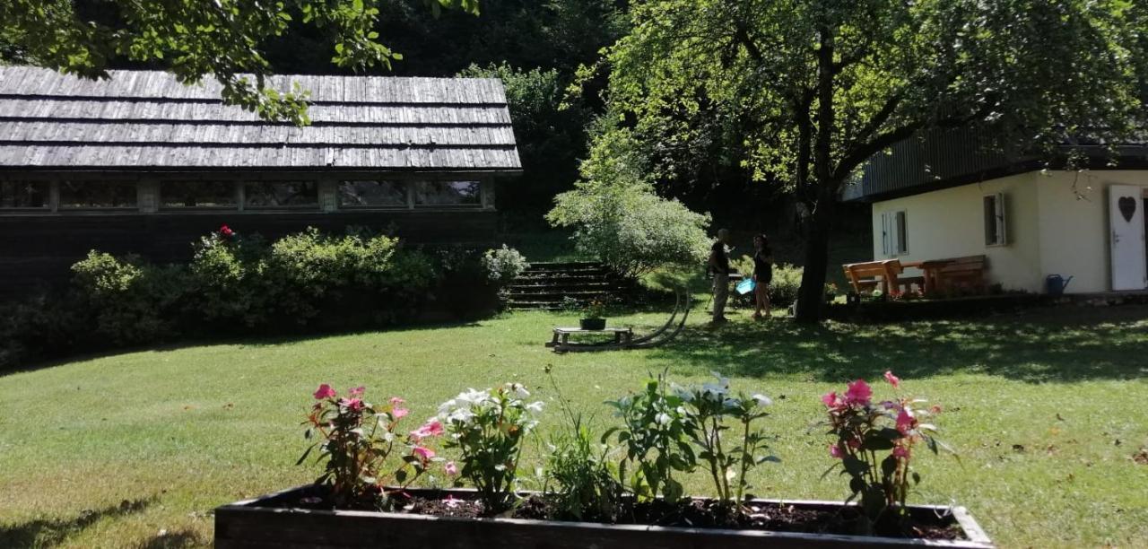 Cozy Cottage In The Heart Of The Triglav National Park Soča Extérieur photo