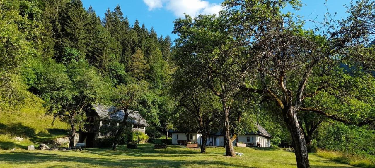 Cozy Cottage In The Heart Of The Triglav National Park Soča Extérieur photo
