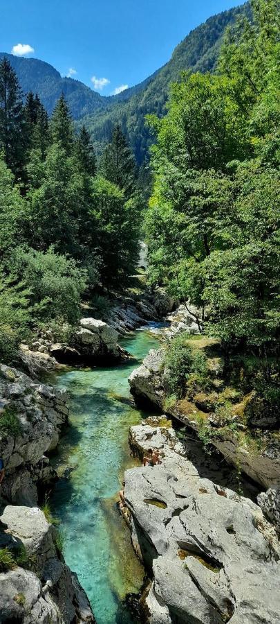 Cozy Cottage In The Heart Of The Triglav National Park Soča Extérieur photo