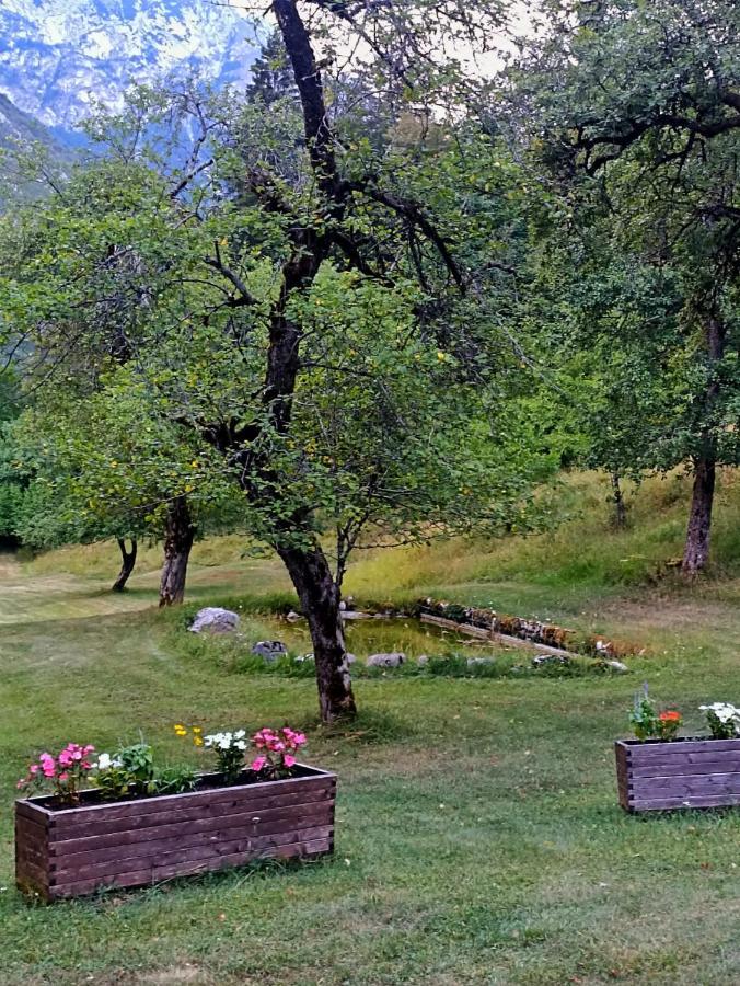 Cozy Cottage In The Heart Of The Triglav National Park Soča Extérieur photo