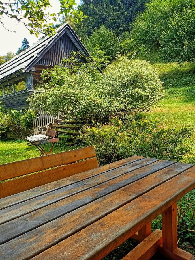 Cozy Cottage In The Heart Of The Triglav National Park Soča Extérieur photo